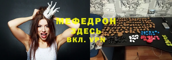 мдпв Богородицк