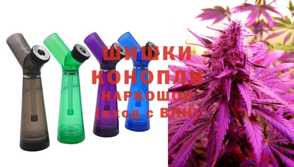 прущая мука Бородино