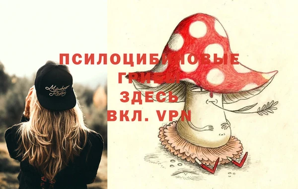 PSILOCYBIN Богданович