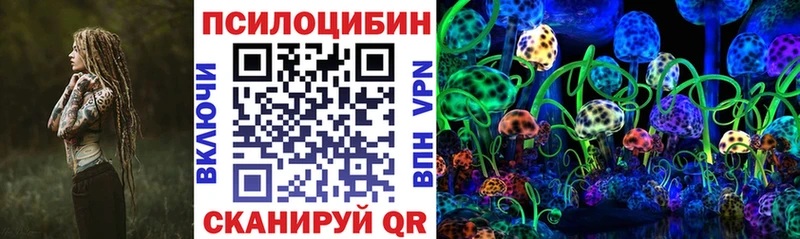 Псилоцибиновые грибы MAGIC MUSHROOMS  кракен tor  Железногорск  где найти наркотики 